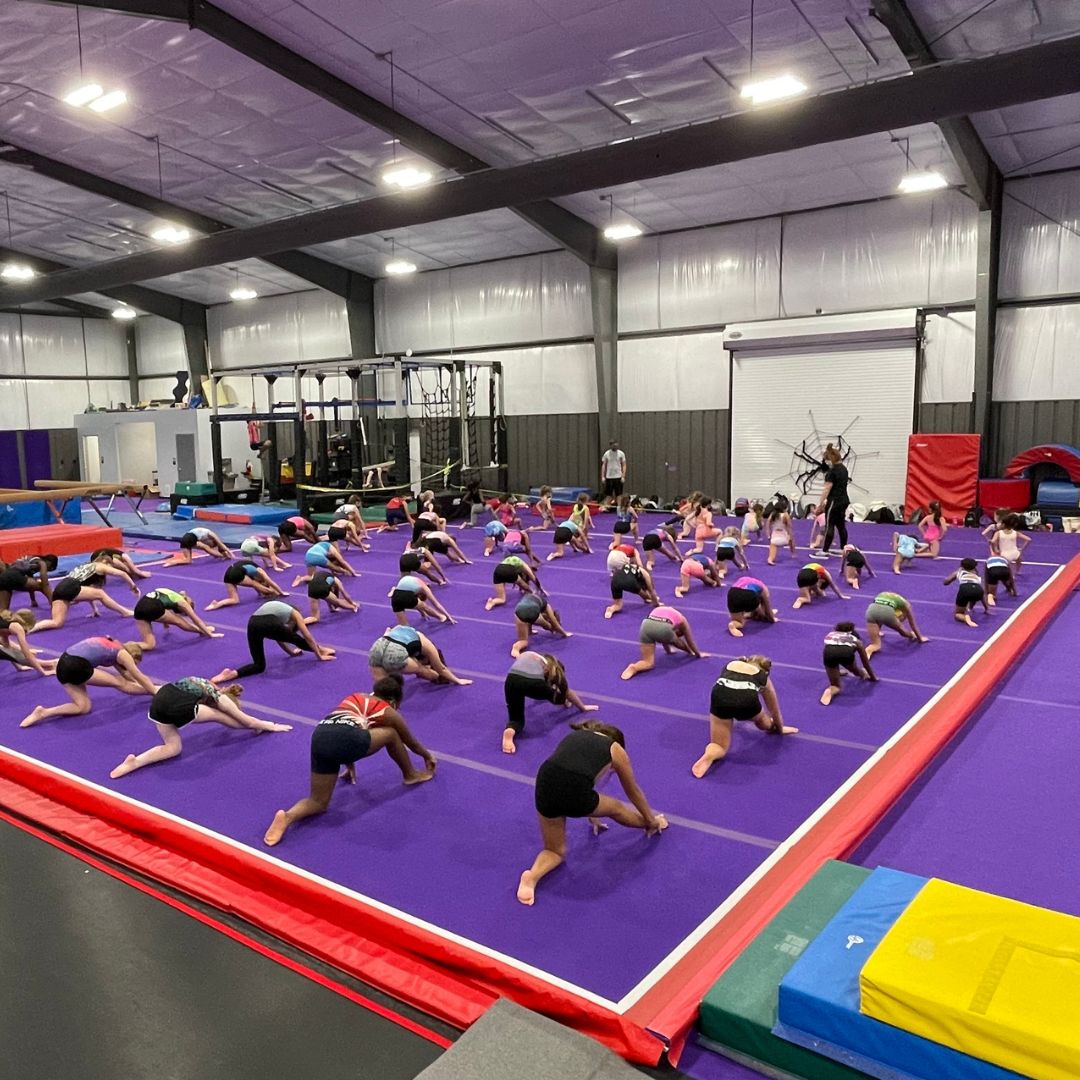 gymnastics team doing stretches