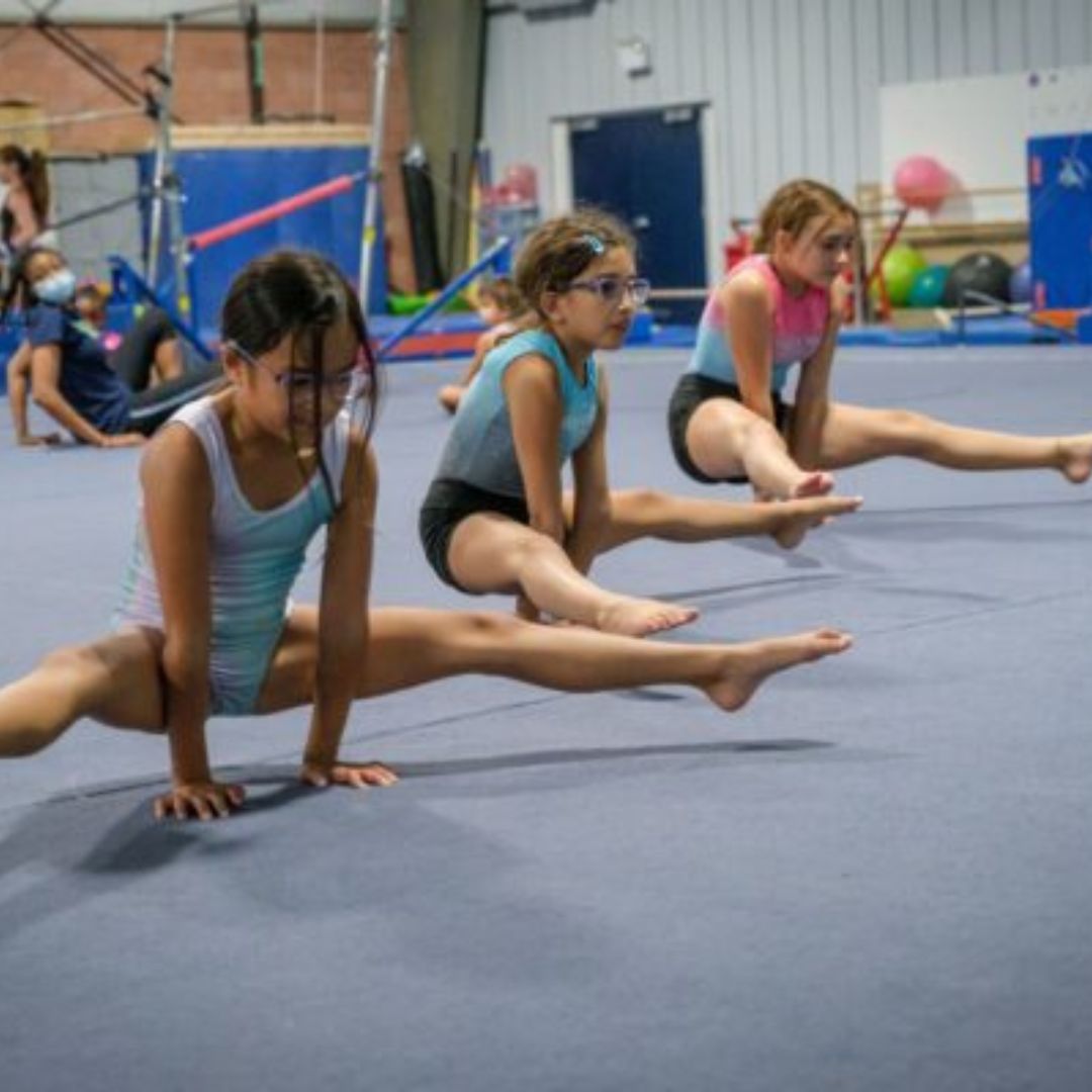 gymnast holding their entire body up with their arms