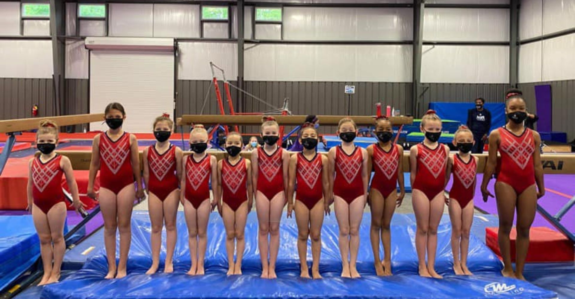 Class vs Private Gymnastics Lesson header