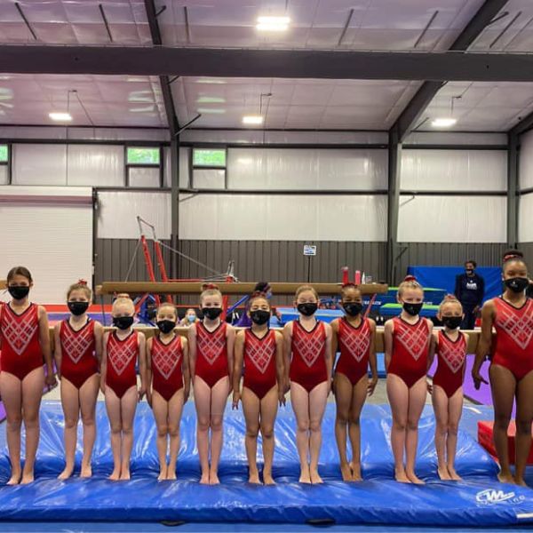 gymnastic competitors